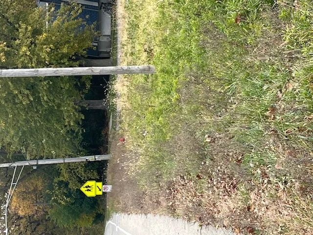 a view of a back yard from a balcony