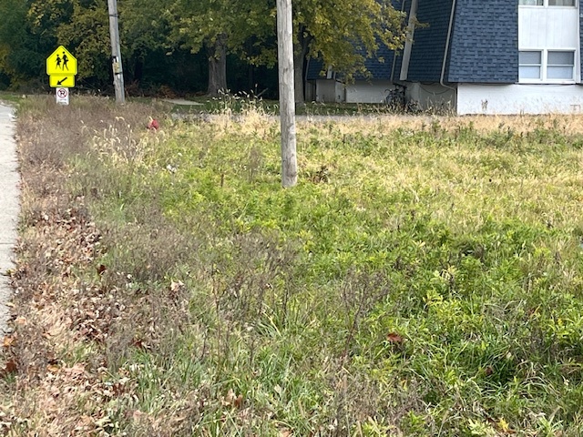 Lot 1 Reckinger Road Aurora, IL 60505 - Photo 4 of 12 a backyard of a house with lots of green space