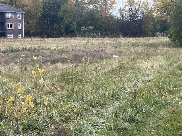 a view of yard covered with snow