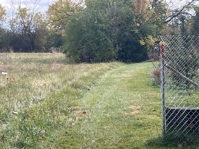 a view of backyard and tree