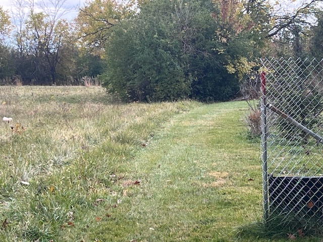 Lot 1 Reckinger Road Aurora, IL 60505 - Photo 7 of 12 a view of backyard and tree
