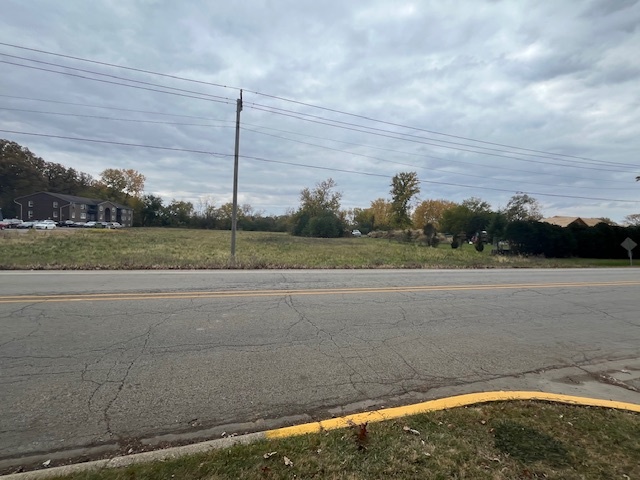 Lot 1 Reckinger Road Aurora, IL 60505 - Photo 9 of 12 a view of a green field