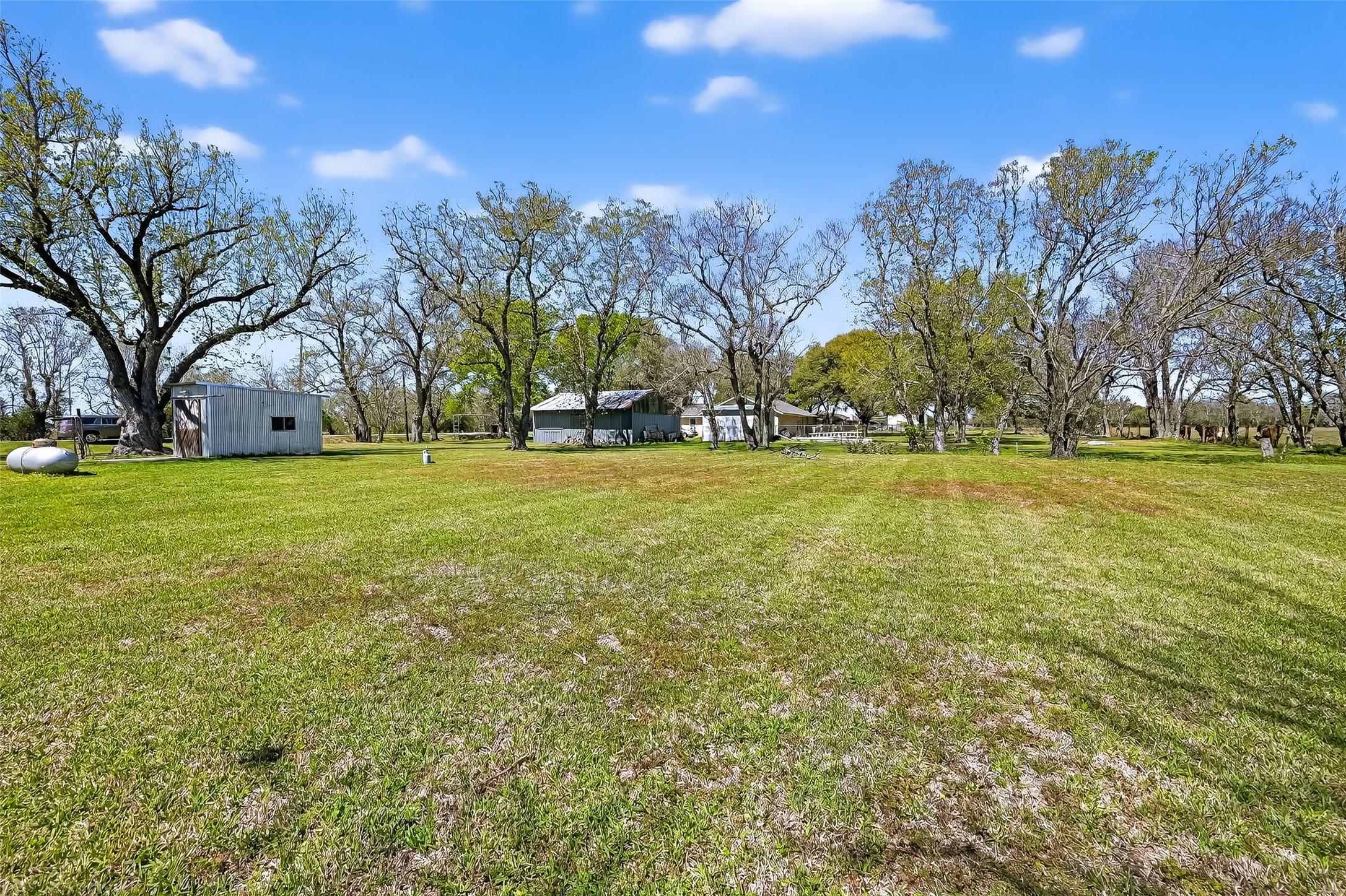 11934 FM 1994 Road Guy, TX 77444 - Photo 43 of 44