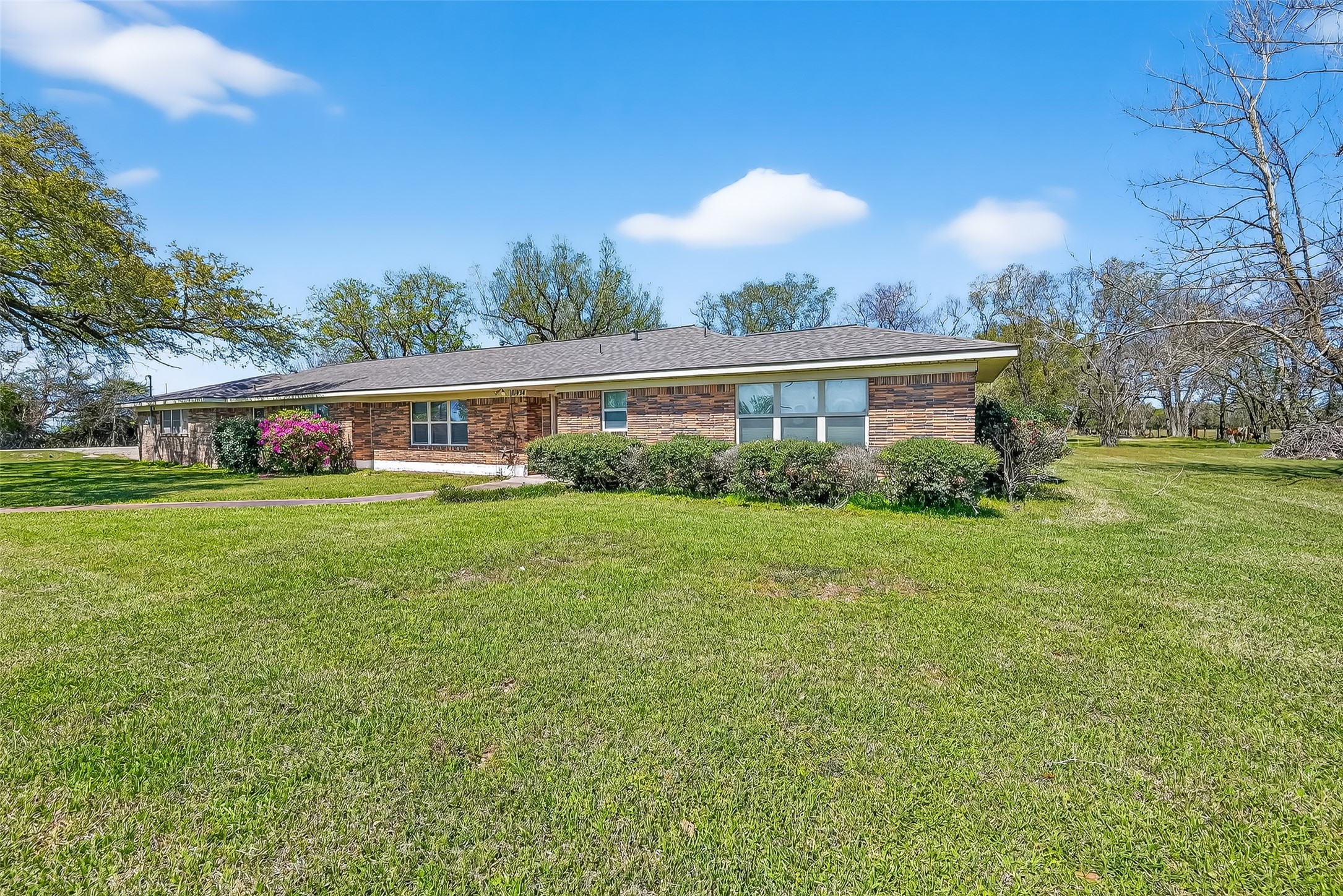 11934 FM 1994 Road Guy, TX 77444 - Photo 5 of 44