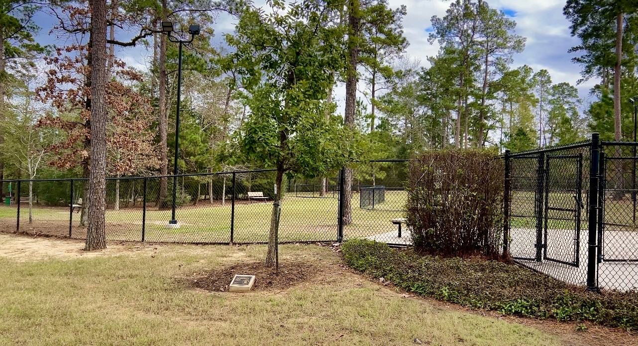 215 Flower Moon Court Conroe, TX 77318 - Photo 39 of 44 a view of a park with swings