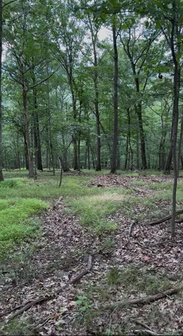 a view of outdoor space with trees