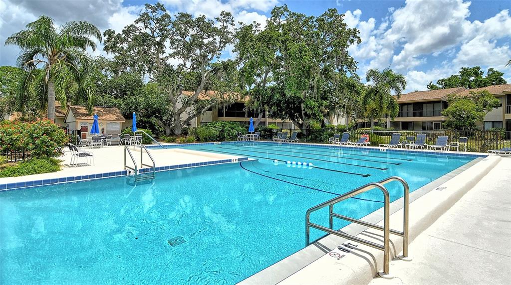 712 White Pine Tree Road, Unit 77 Venice, FL 34285 - Photo 37 of 98 Gallery Image 37