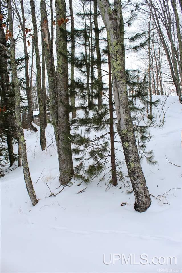 Tbd Des Rochers Road, Unit LOT 19 Pelkie, MI 49958 - Photo 26 of 33