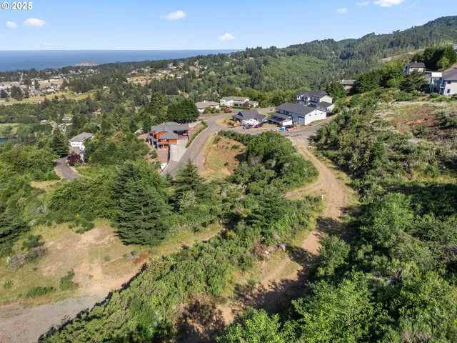 a view of a mountain in the distance in a field
