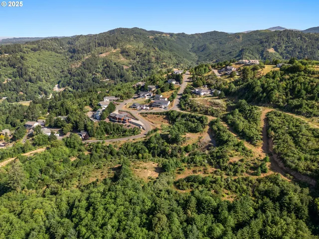 an aerial view of residential building and trees around