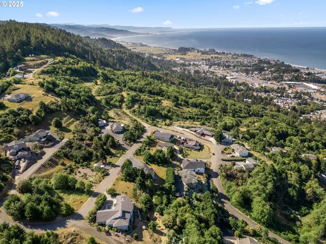 an aerial view of residential houses with outdoor space and trees