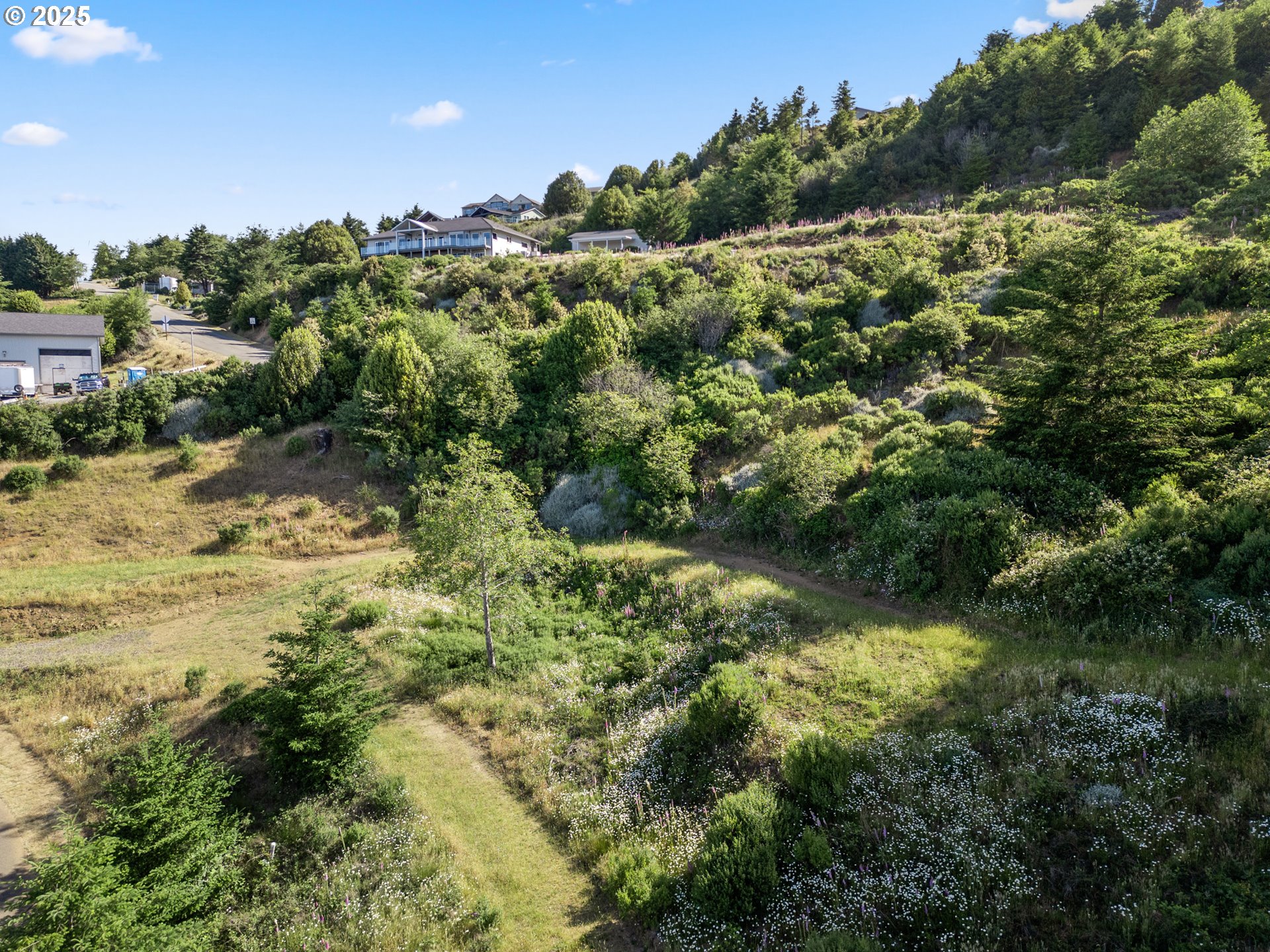 Crown Terrace Loop, Unit 2 Brookings, OR 97415 - Photo 2 of 23 a view of a forest with a street