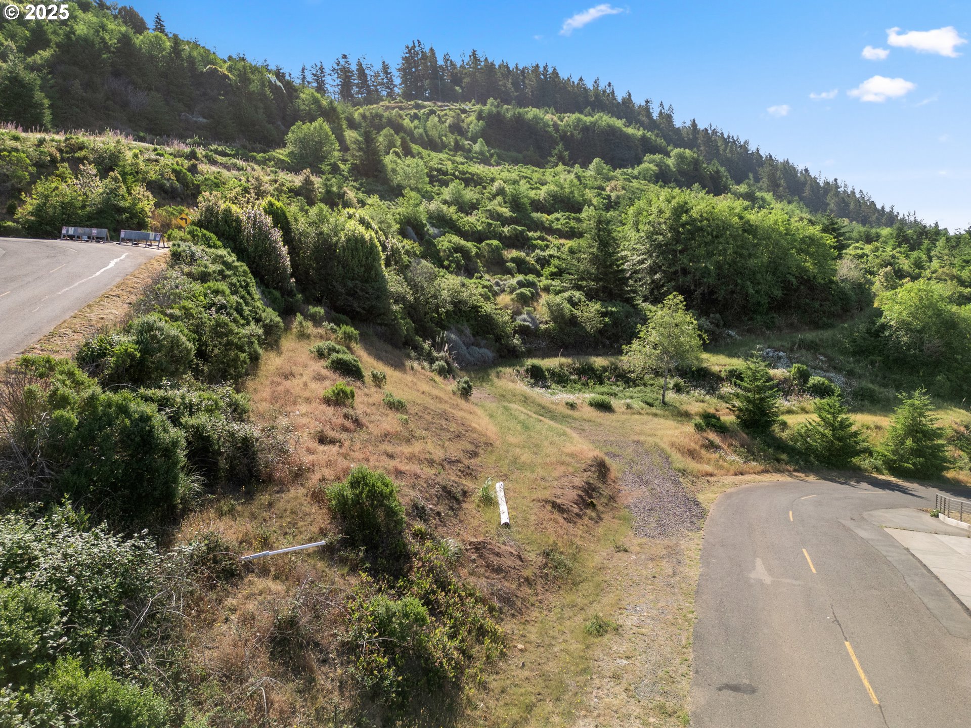 Crown Terrace Loop, Unit 2 Brookings, OR 97415 - Photo 8 of 23 a view of a yard with a tree
