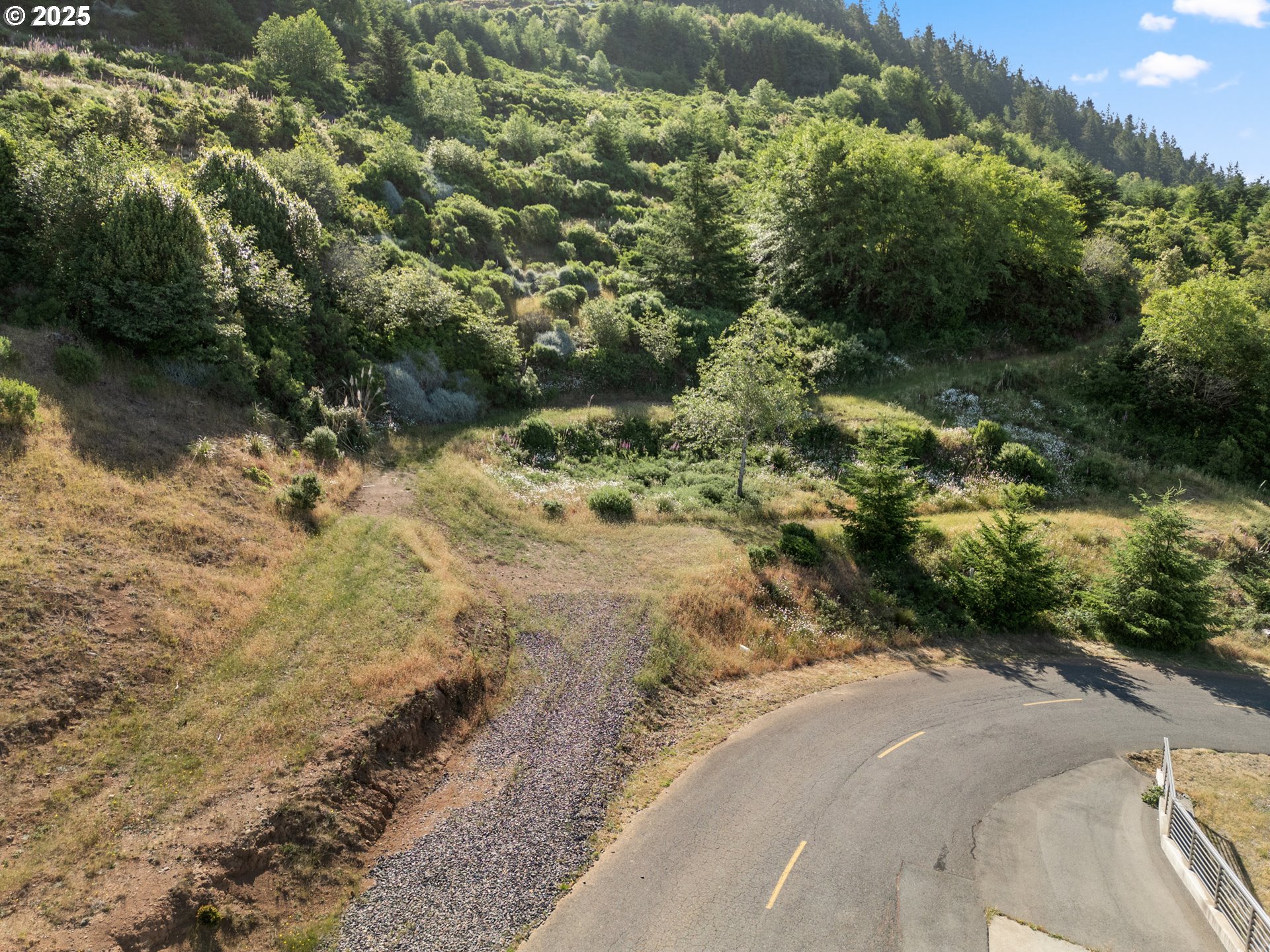 Crown Terrace Loop, Unit 2 Brookings, OR 97415 - Photo 9 of 23 a view of a forest with a forest