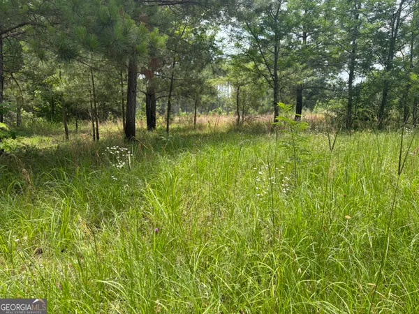$81,500 | 6 Sunhill Grange Road, Sandersville, GA 31018