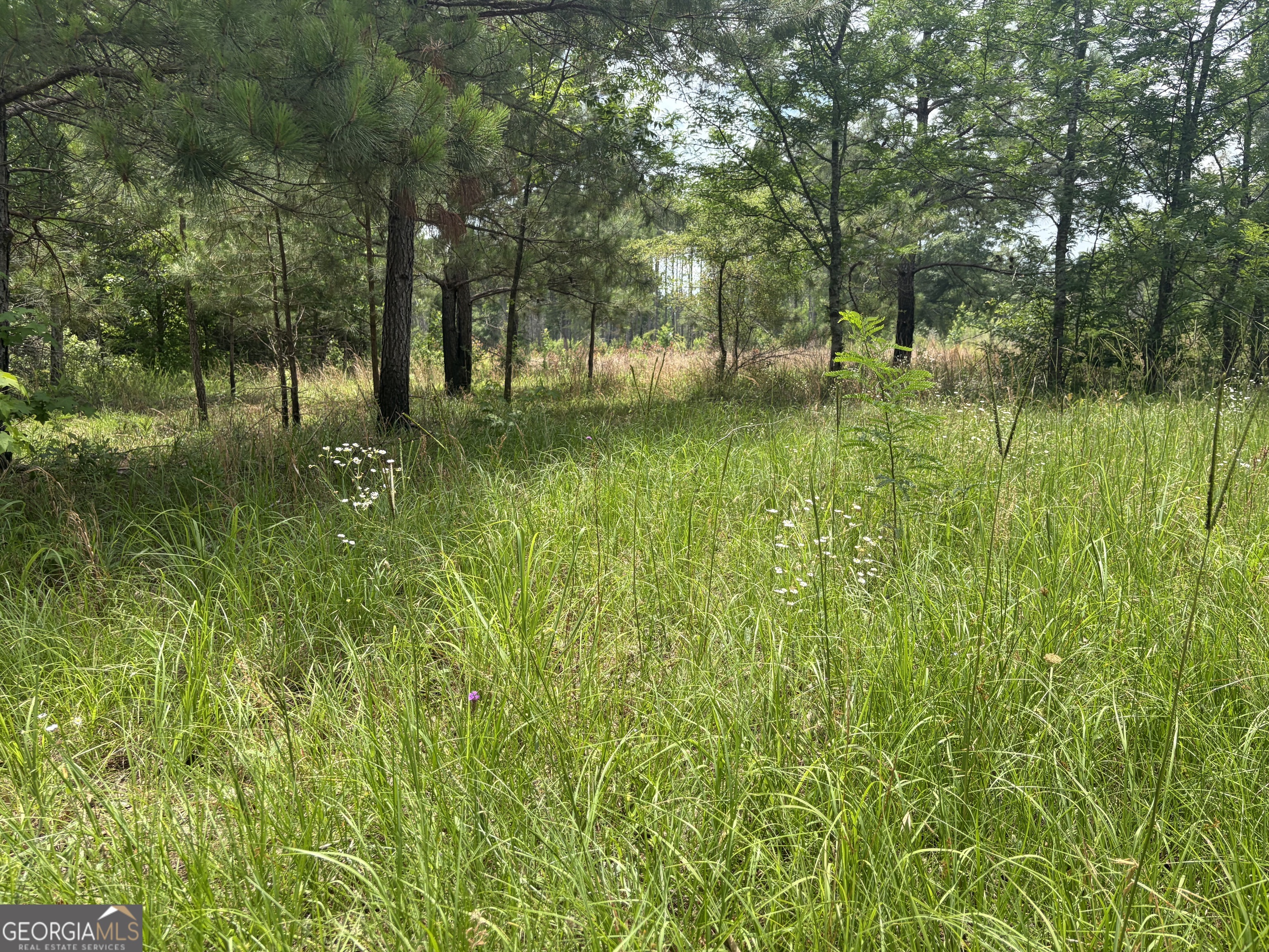 6 Sunhill Grange Road Sandersville, GA 31018 - Photo 1 of 8