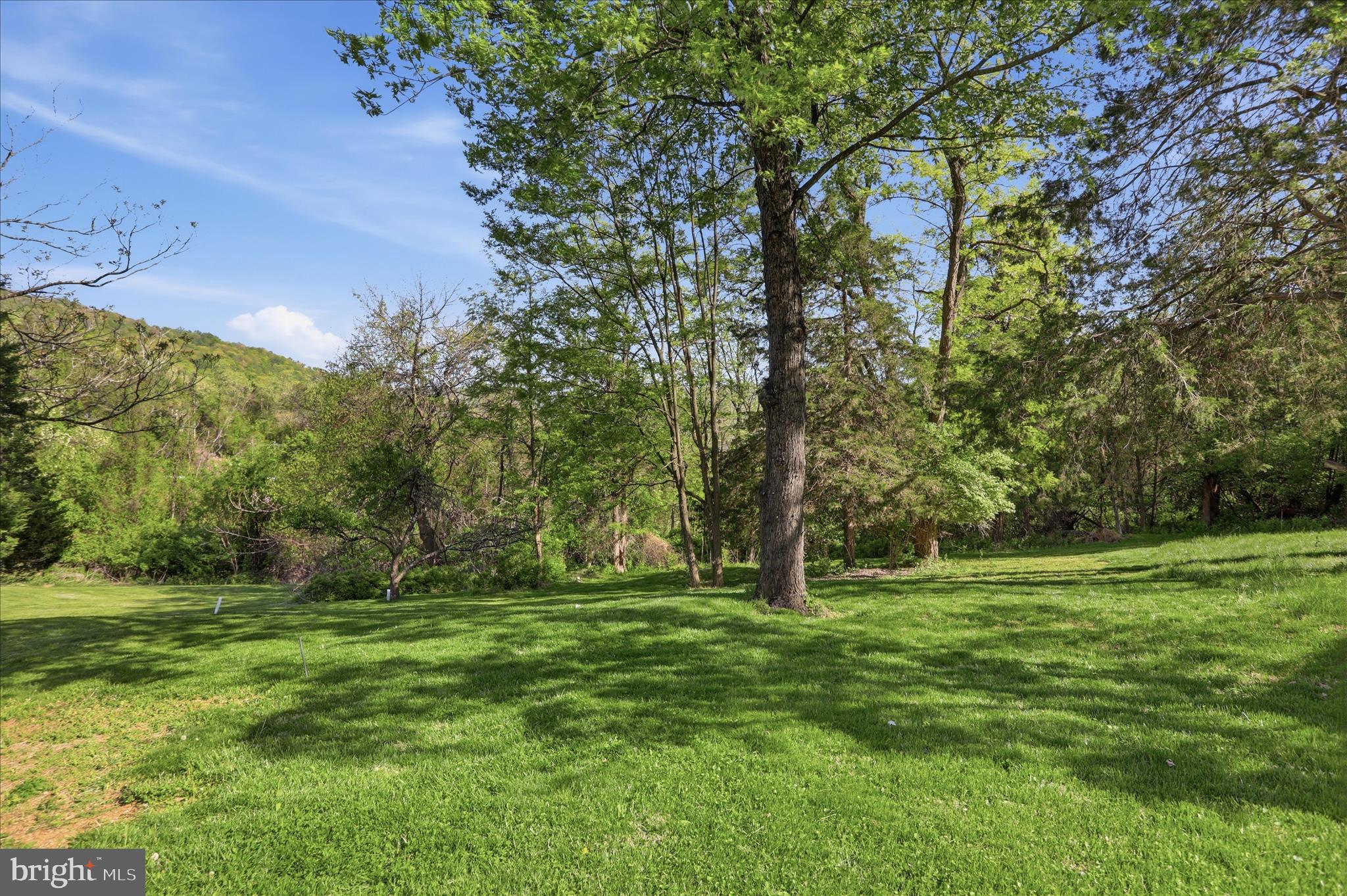 380 Granny Smith Road Linden, VA 22642 - Photo 2 of 31