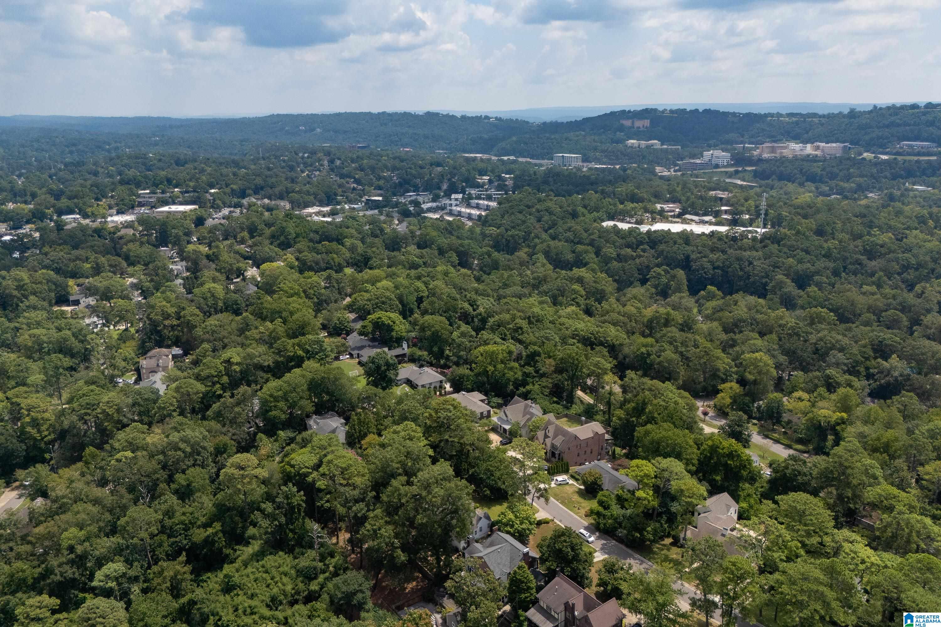 1618 Wellington Road Birmingham, AL 35209 - Photo 38 of 51