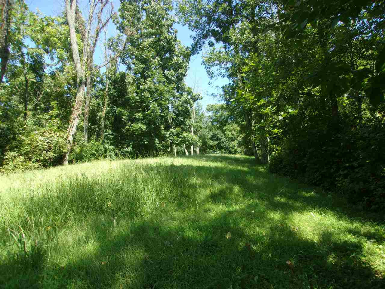 30-acres Dover Road Augusta, KY 41002 - Photo 14 of 50 Gallery Image 14