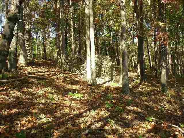 2 South Oak Pointe Point Seneca, SC 29672 - Photo 3 of 6 Gallery Image 3