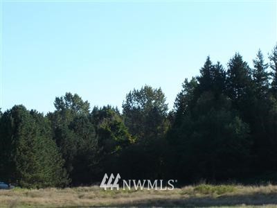 4-xx East Hemmi Road Lynden, WA 98264 - Photo 1 of 1 Gallery Image 1