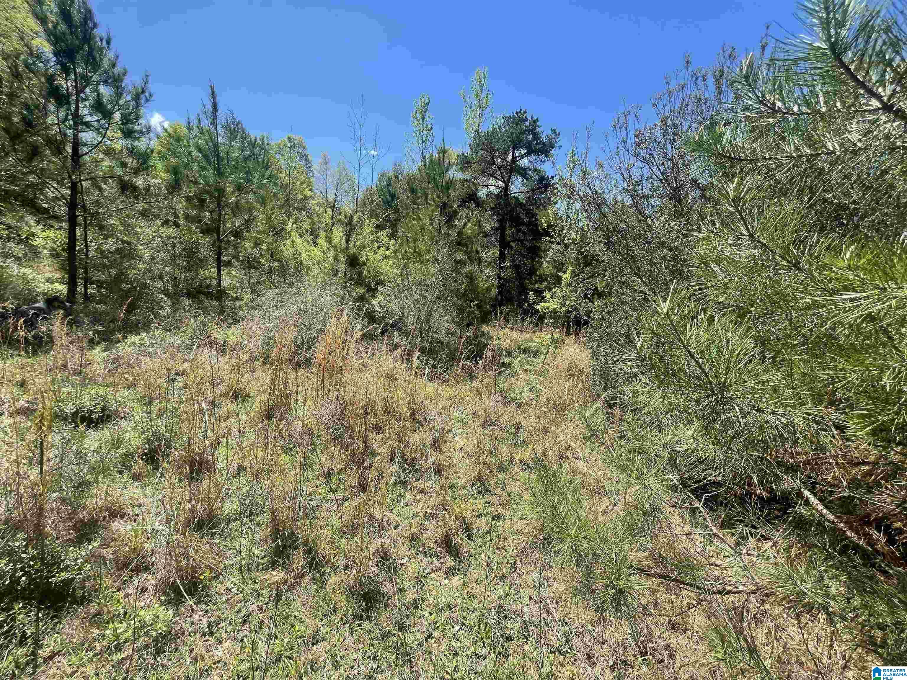 0 Richardson Road Brewton, AL 36426 - Photo 43 of 47