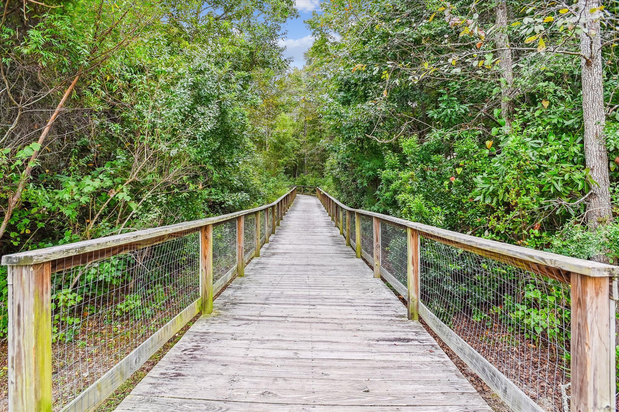 1722 Bee Balm Road Johns Island, SC 29455 - Photo 44 of 49 amenity-st. johns crossing boardwalk tra