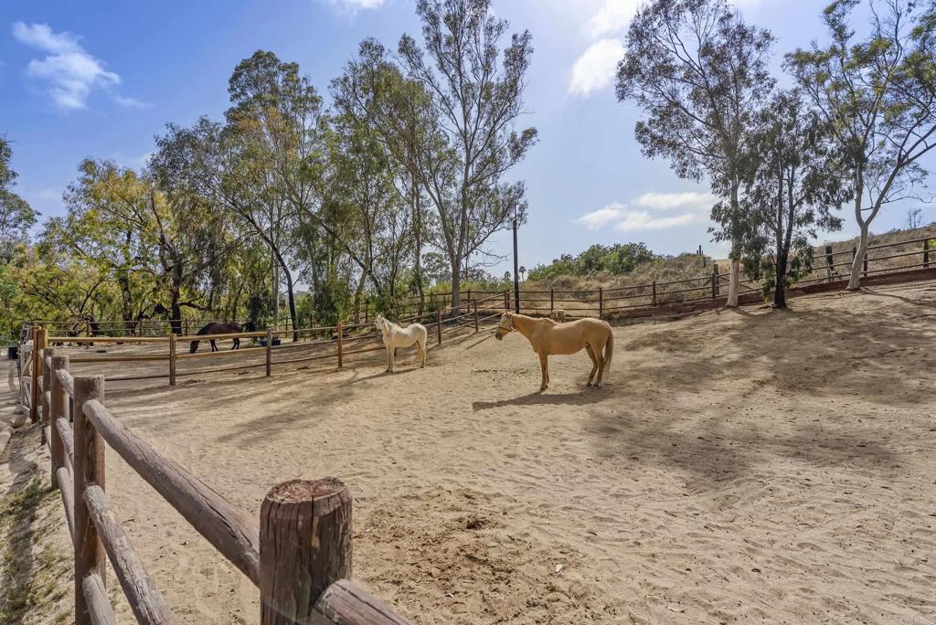 16560 El Camino Real Rancho Santa Fe, CA 92067 - Photo 25 of 25