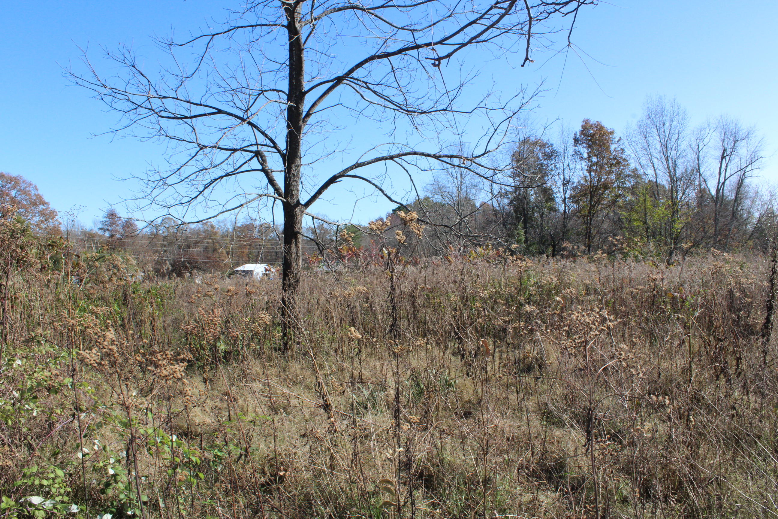 Stockton Road Jamestown, TN 38556 - Photo 1 of 4 144