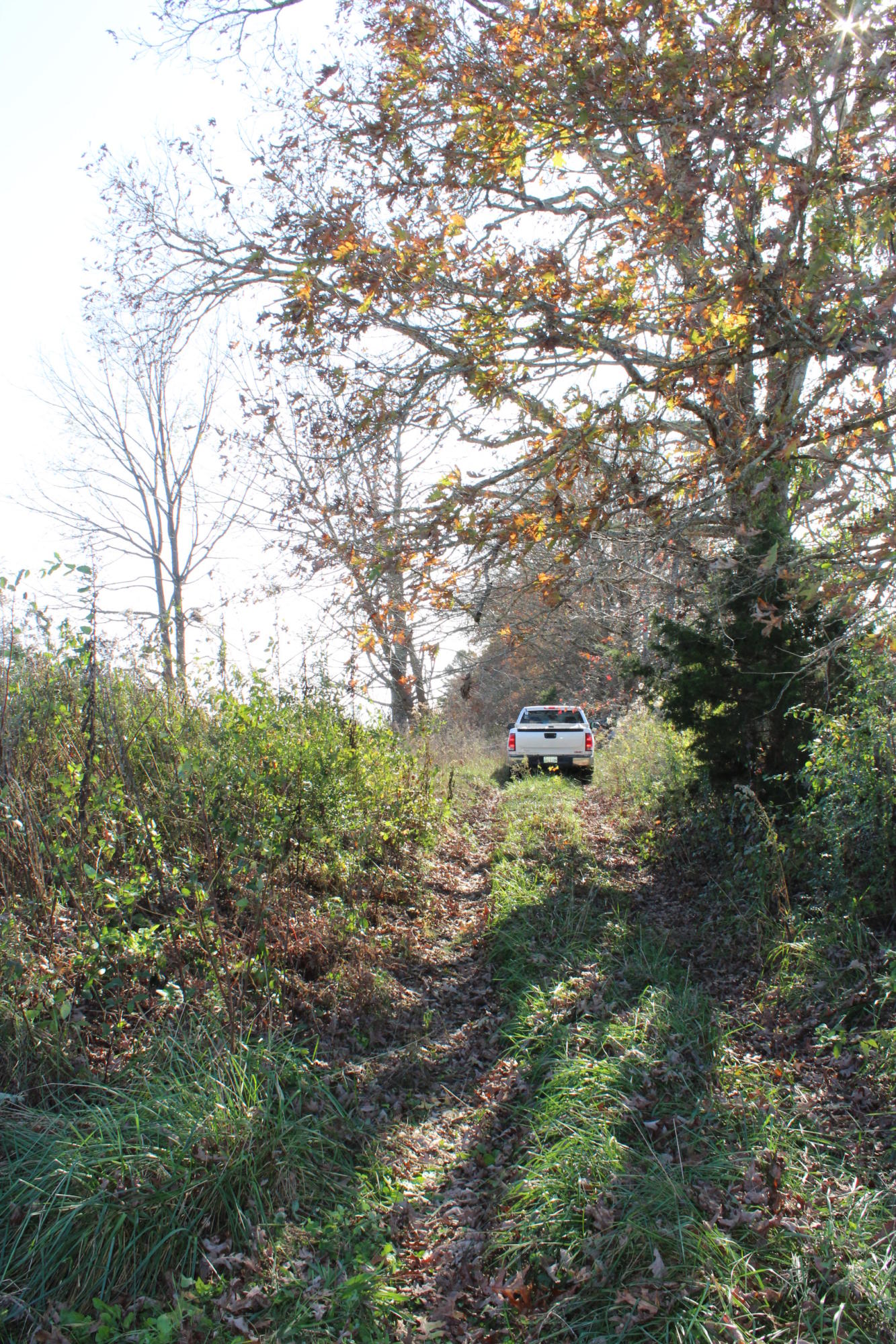 Stockton Road Jamestown, TN 38556 - Photo 3 of 4 146
