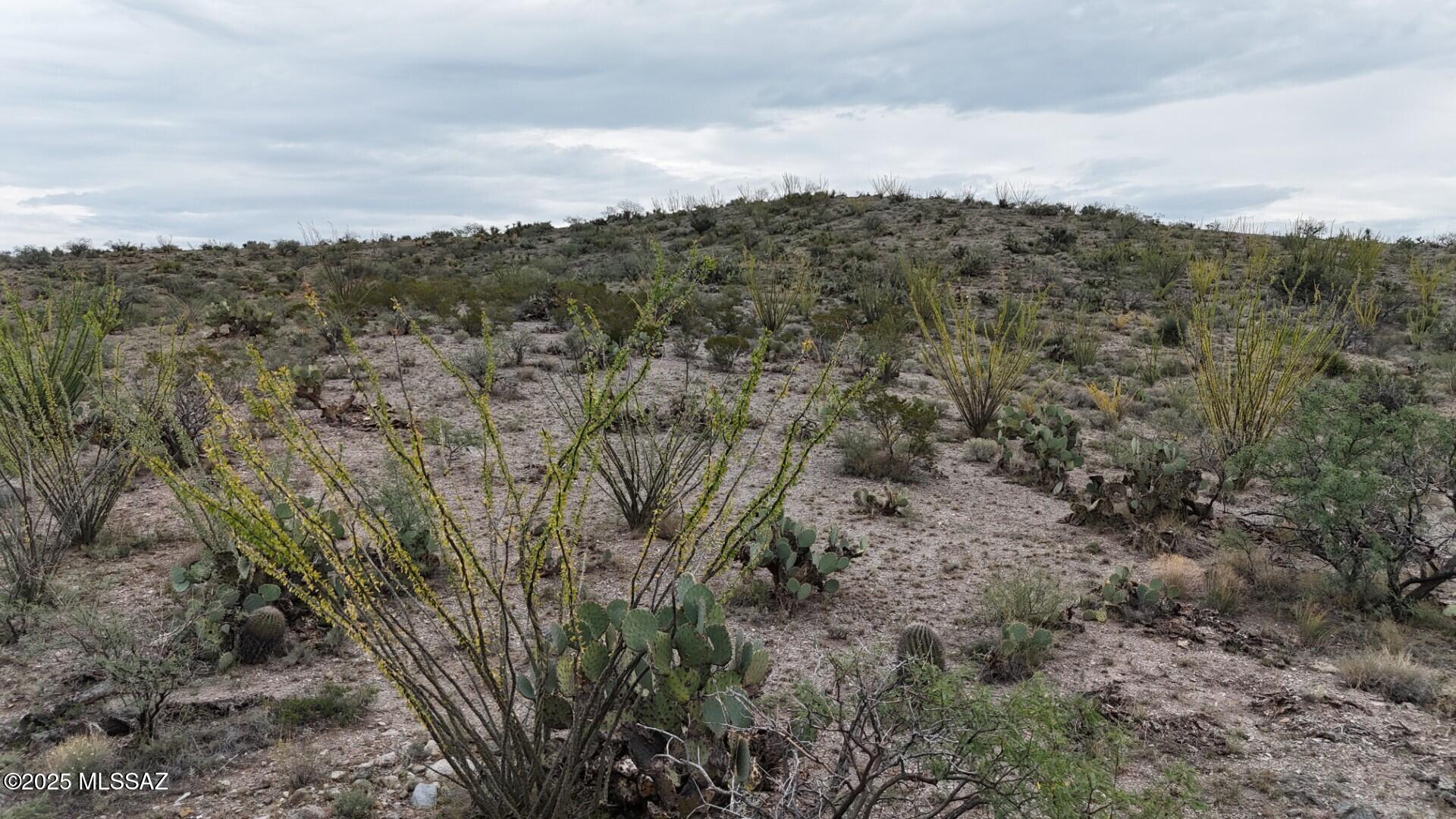 Tbd West Bell Road Benson, AZ 85602 - Photo 1 of 4