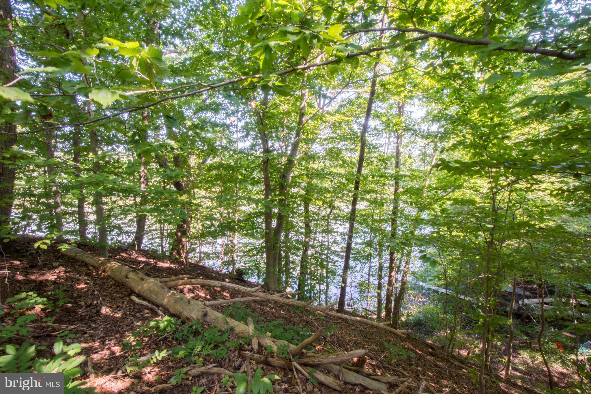 3203 Brezina Place Edgewater, MD 21037 - Photo 23 of 26 View Of Water From Top Of Property