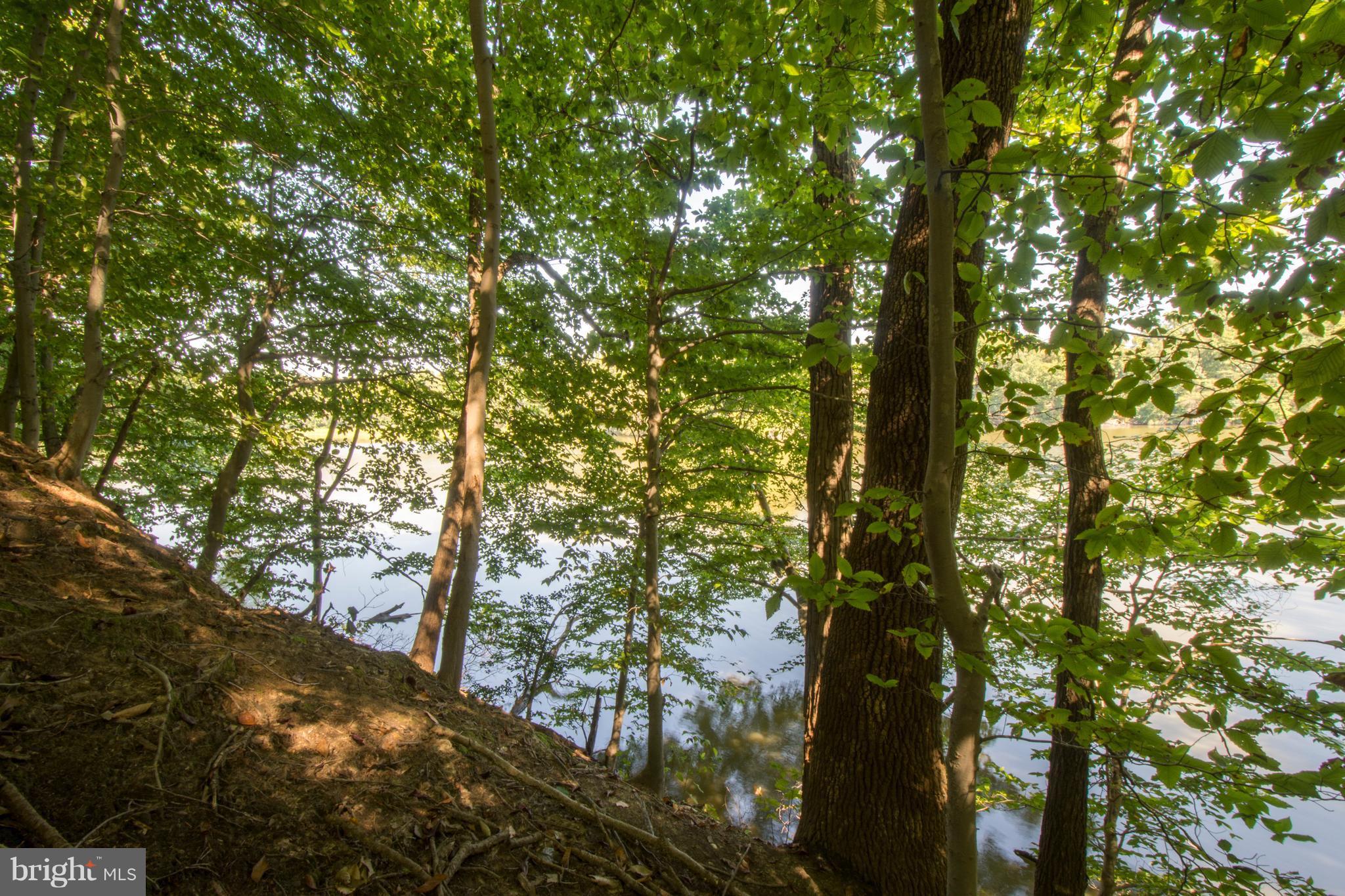 3203 Brezina Place Edgewater, MD 21037 - Photo 24 of 26 Water View