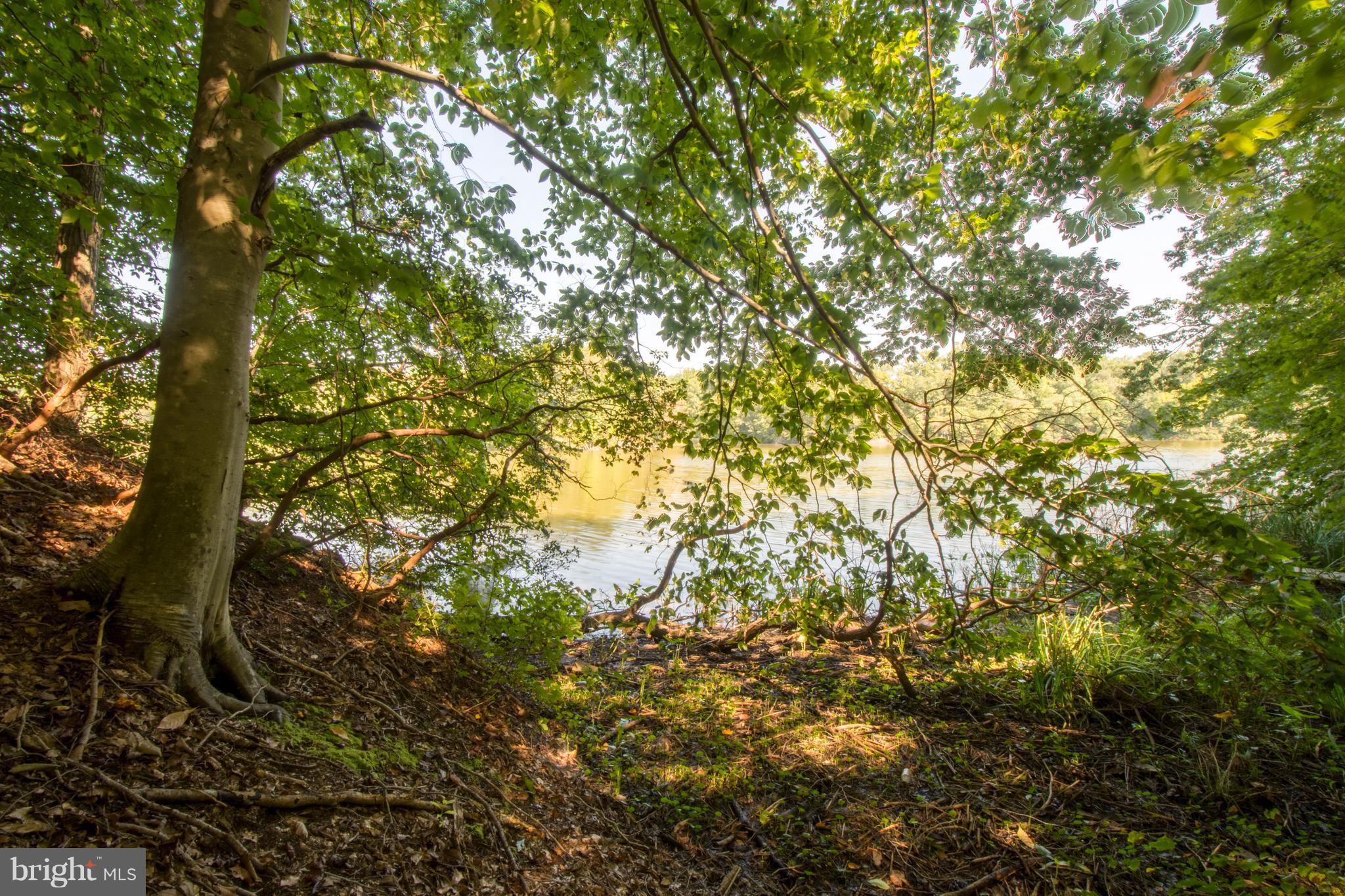 3203 Brezina Place Edgewater, MD 21037 - Photo 25 of 26 View At Waterline