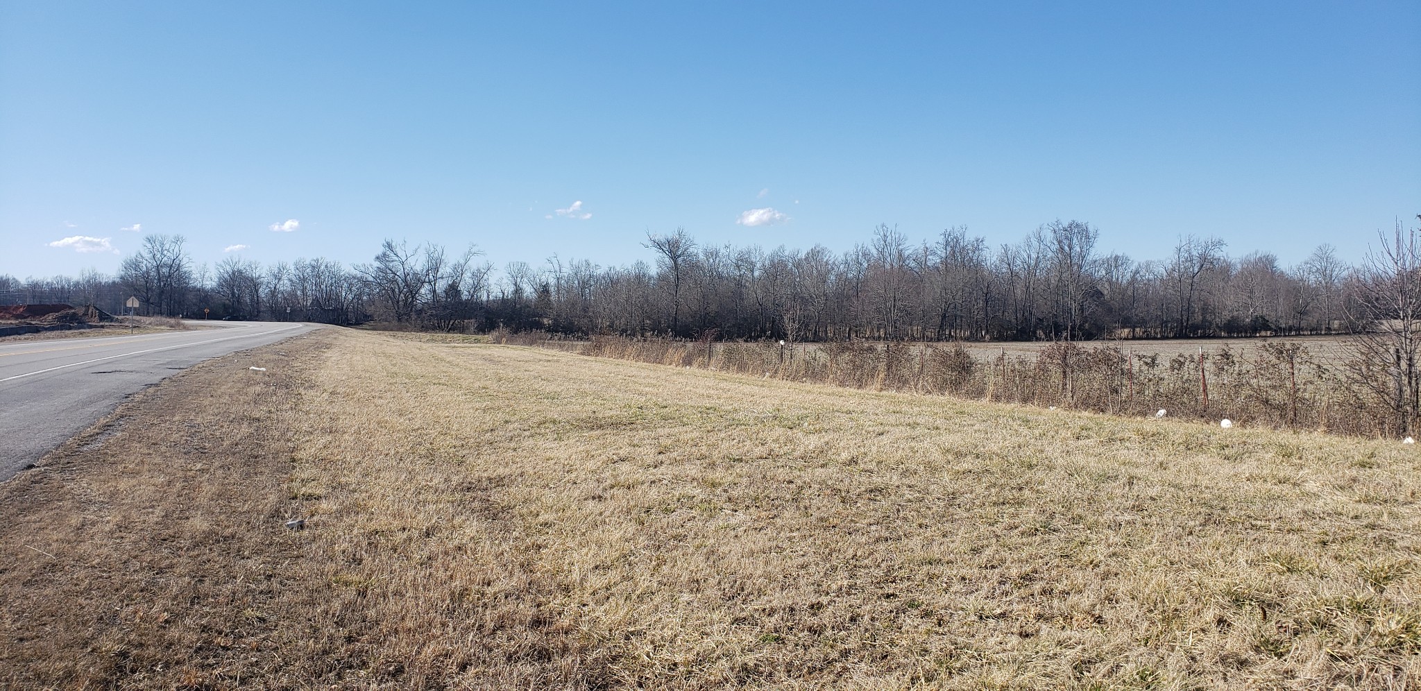 a view of a field with trees in the background