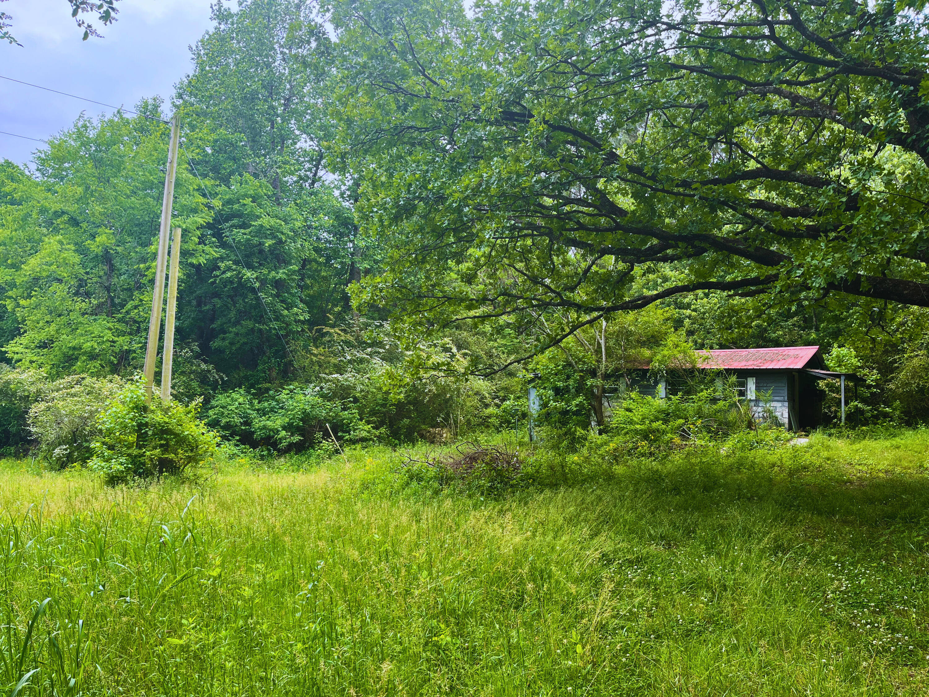 0 Southeast Womack Southeast Road Dalton, GA 30721 - Photo 3 of 11 56b69580-c89b-4ce7-81c4-94cdca39e5be