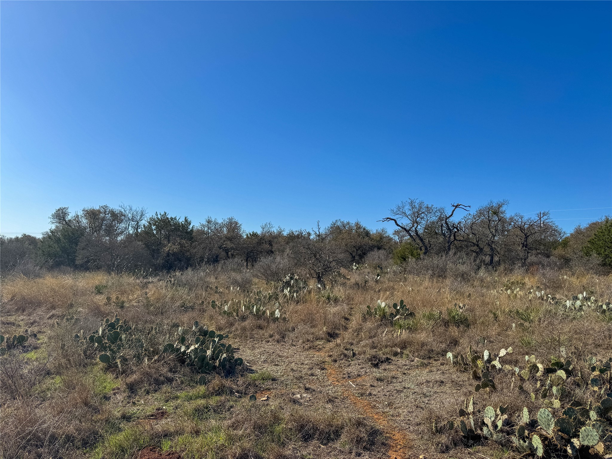 Lot 20 Comanche Ridge Round Mountain, TX 78663 - Photo 25 of 34 LOT 20 STREET LEVEL