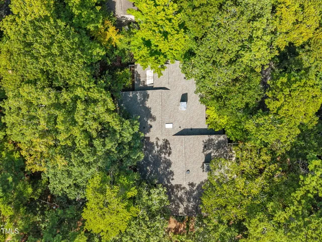 a view of a city with lush green forest