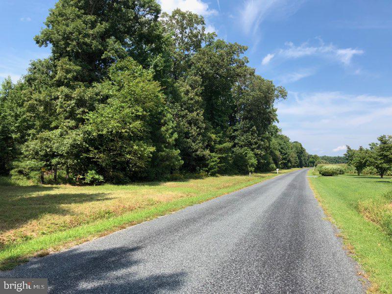 0 Clarks Wharf Road Trappe, MD 21673 - Photo 2 of 4 Gallery Image 2