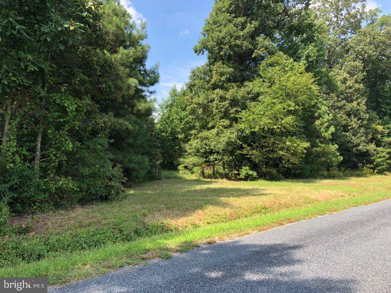 0 Clarks Wharf Road Trappe, MD 21673 - Photo 3 of 4 Gallery Image 3