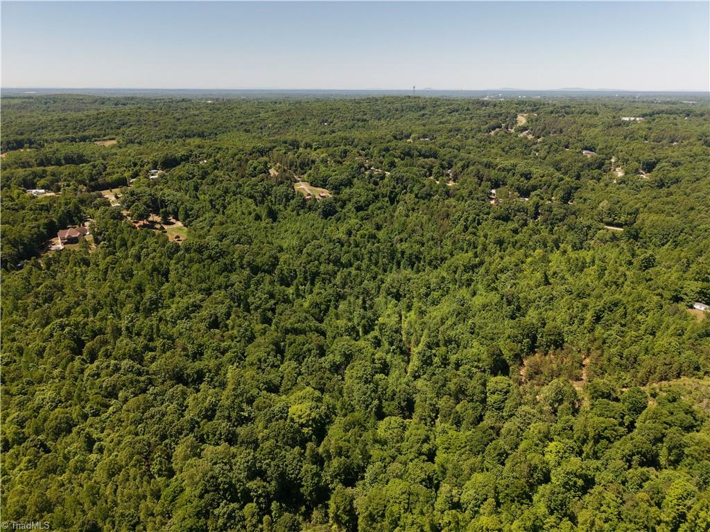 0 Fuller Mill Road North Thomasville, NC 27360 - Photo 9 of 22