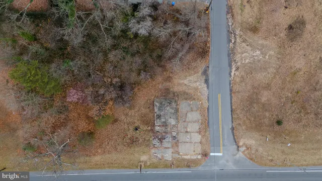 a view of road and trees