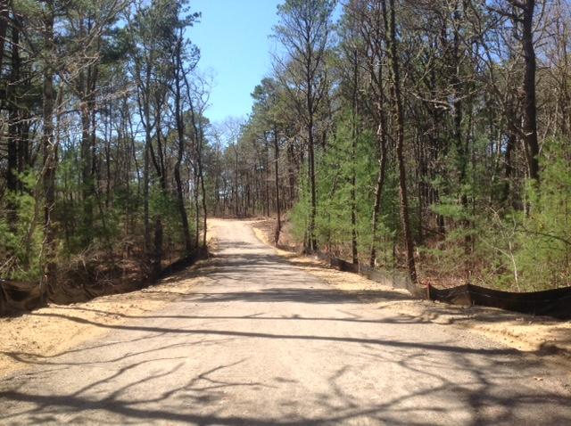 17 Alma Road Mashpee, MA 02649 - Photo 20 of 21 a view of road and trees