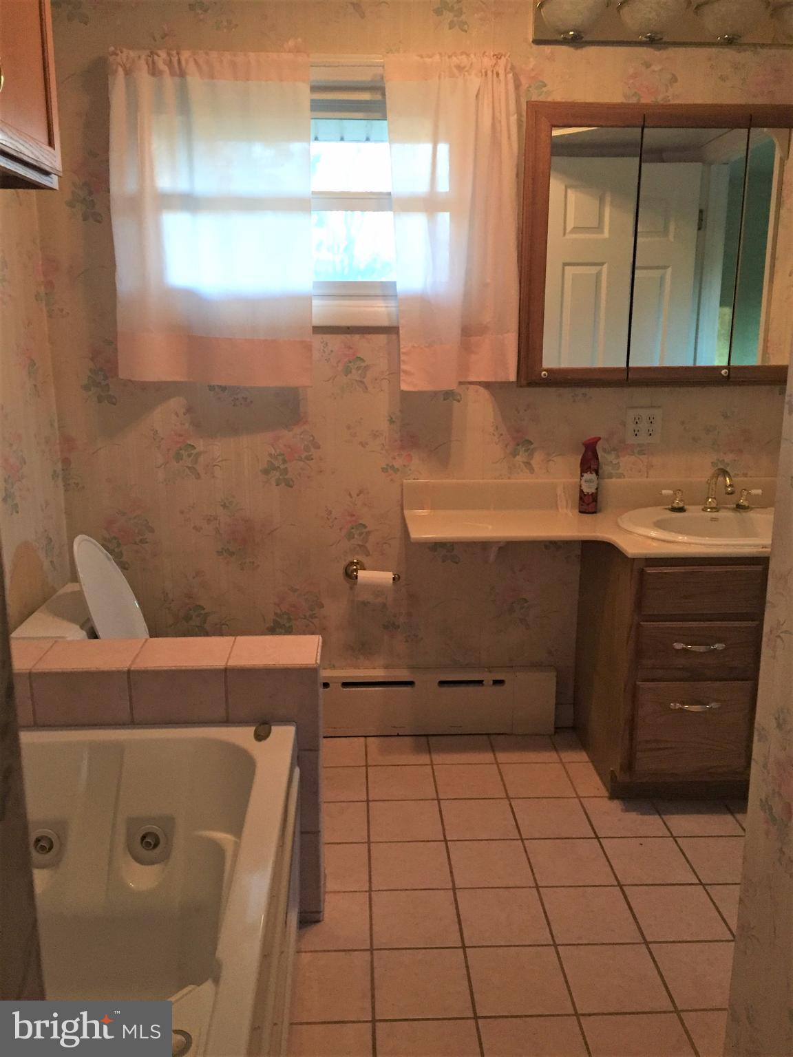 1405 North River Road Halifax, PA 17032 - Photo 15 of 28 Bathroom