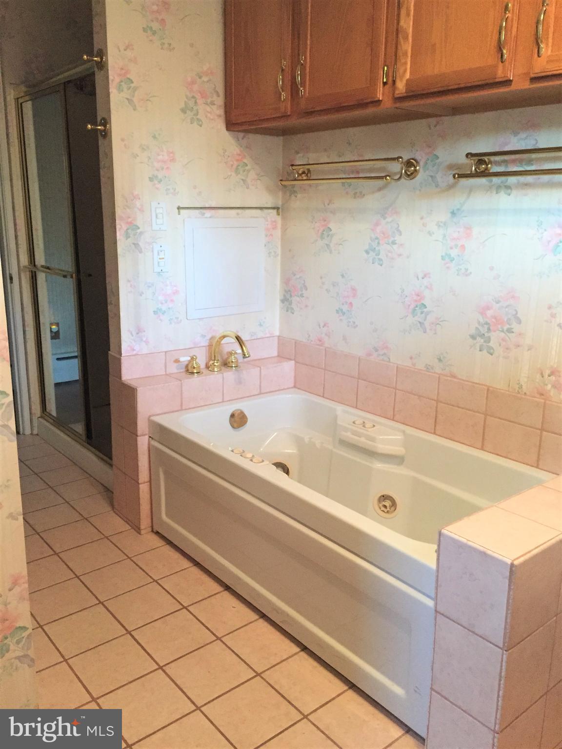 1405 North River Road Halifax, PA 17032 - Photo 17 of 28 Bathroom