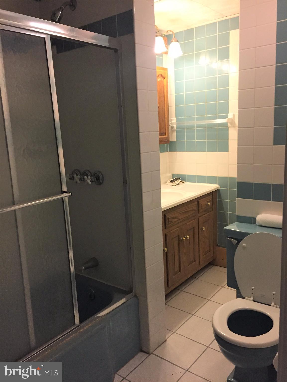 1405 North River Road Halifax, PA 17032 - Photo 25 of 28 Lower Level Bathroom