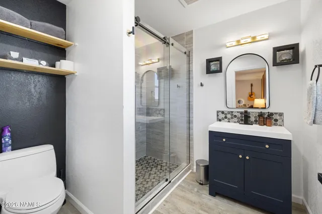 a bathroom with a toilet a sink a mirror a vanity and shower