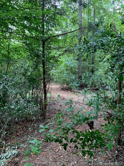 713 Brandon Road Clover, SC 29710 - Photo 15 of 20 Gallery Image 15