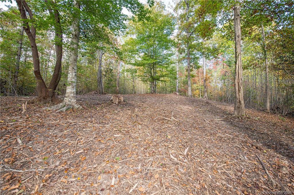 713 Brandon Road Clover, SC 29710 - Photo 6 of 20 Gallery Image 6