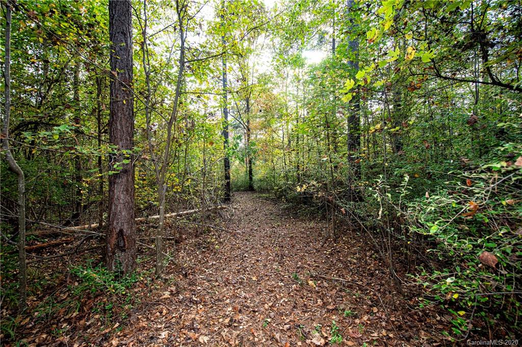 713 Brandon Road Clover, SC 29710 - Photo 7 of 20 Gallery Image 7